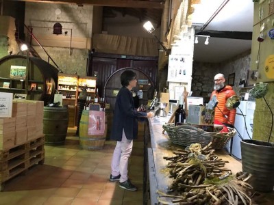 フランスローヌ南部